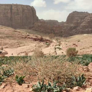 Wadi Mousa
