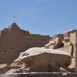 Sedmkrát obejít scarabea....